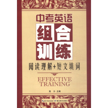 中考英语组合训练:阅读理解+短文填词