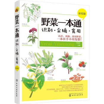 野菜一本通：識彆·采摘·食用（彩繪版） pdf epub mobi 電子書 下載