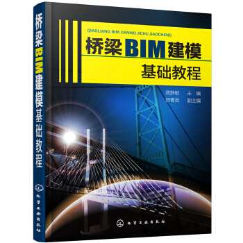 橋梁BIM建模基礎教程 pdf epub mobi 電子書 下載