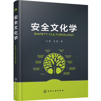 安全文化学 pdf epub mobi 电子书 下载