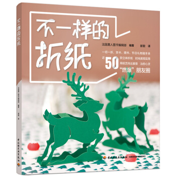 不一样的折纸 pdf epub mobi 电子书 下载