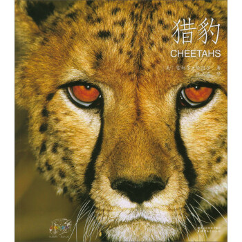 猎豹/动物小百科 pdf epub mobi 电子书 下载