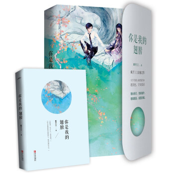 你是我的翅膀 pdf epub mobi 電子書 下載