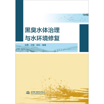 黑臭水体治理和水环境修复 pdf epub mobi 电子书 下载