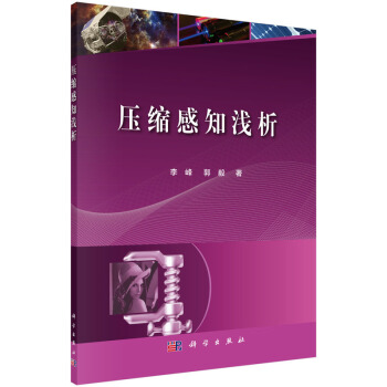 壓縮感知淺析 pdf epub mobi 電子書 下載