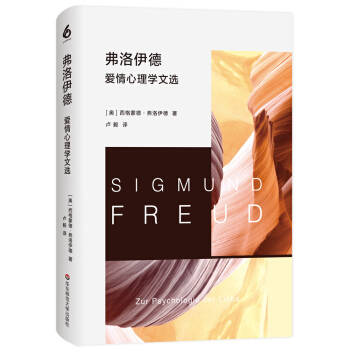 弗洛伊德爱情心理学文选 pdf epub mobi 电子书 下载