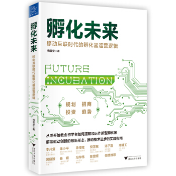 孵化未来：移动互联时代的孵化器运营逻辑 pdf epub mobi 电子书 下载