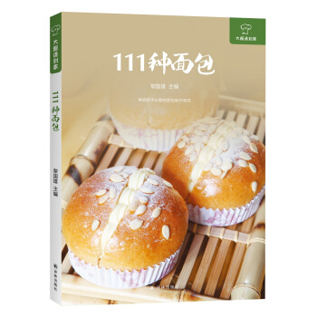 大厨请到家：111种面包 pdf epub mobi 电子书 下载