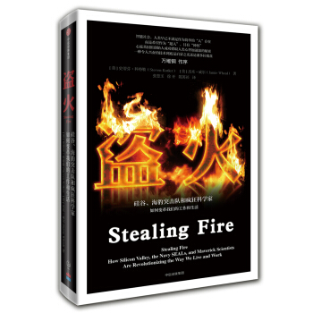 盜火：矽榖、海豹突擊隊和瘋狂科學傢如何變革我們的工作和生活 pdf epub mobi 電子書 下載