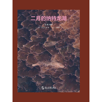 二月的纳特龙湖 pdf epub mobi 电子书 下载
