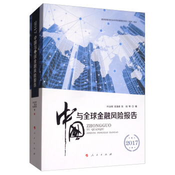 2017中国与全球金融风险报告 pdf epub mobi 电子书 下载