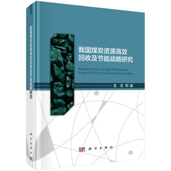 我國煤炭資源高效迴收及節能戰略研究