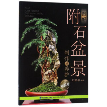 图解附石盆景制作与养护(彩图版)