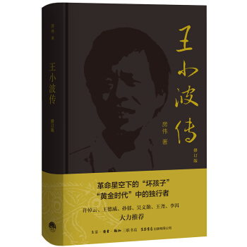 王小波传 pdf epub mobi 电子书 下载