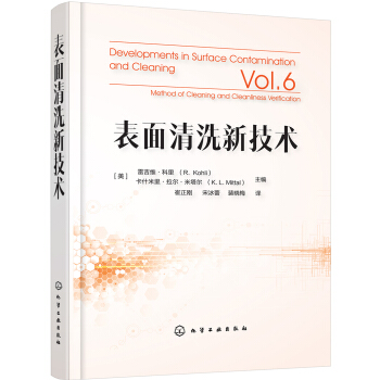 表面清洗新技术 pdf epub mobi 电子书 下载