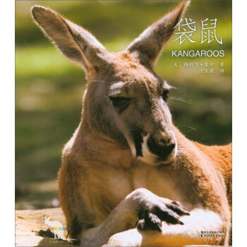 袋鼠/动物小百科 pdf epub mobi 电子书 下载