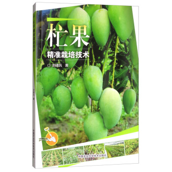 杧果精準栽培技術 pdf epub mobi 電子書 下載