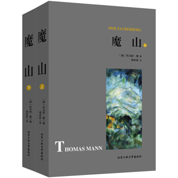 魔山（套装上下册） pdf epub mobi 电子书 下载