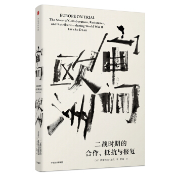 审问欧洲：二战时期的合作、抵抗与报复 pdf epub mobi 电子书 下载