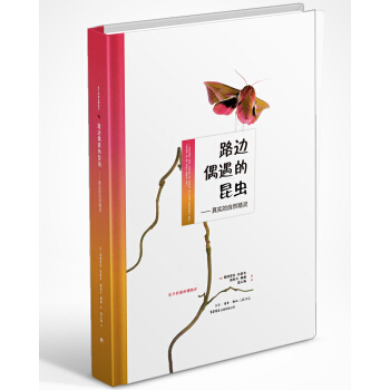 路邊偶遇的昆蟲 pdf epub mobi 電子書 下載