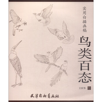 实用白描画稿:鸟类百态