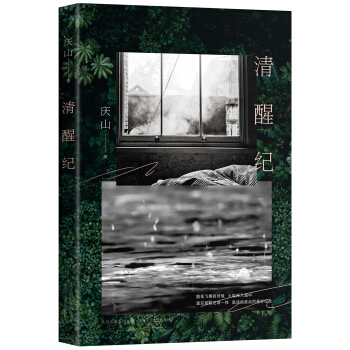 清醒纪 pdf epub mobi 电子书 下载