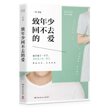 致年少回不去的爱（修订版） pdf epub mobi 电子书 下载