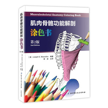 肌肉骨骼功能解剖涂色书（第2版） pdf epub mobi 电子书 下载