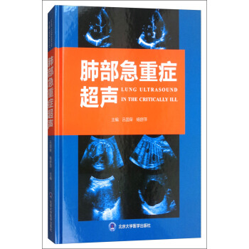 肺部急重症超声 [Lung Ultrasound in the Critically Ill] pdf epub mobi 电子书 下载