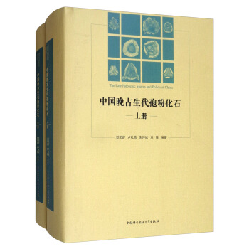 中国晚古生代孢粉化石（套装上下册） pdf epub mobi 电子书 下载