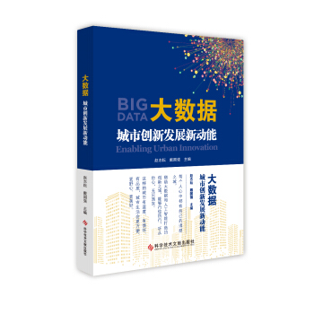 大数据：城市创新发展新动能 pdf epub mobi 电子书 下载