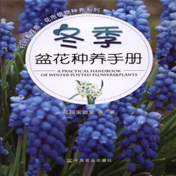 鼕季盆花種養手冊/掃碼看視頻花市植物種養係列 [A Practical Handbook of Winter Potted Flowers&plants] pdf epub mobi 電子書 下載