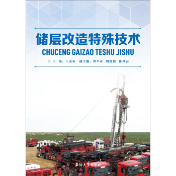 儲層改造特殊技術 pdf epub mobi 電子書 下載