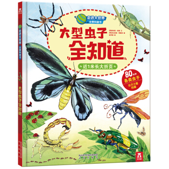 走进大世界全景科普书第一辑:大型虫子全知道 [3-6岁] pdf epub mobi 电子书 下载