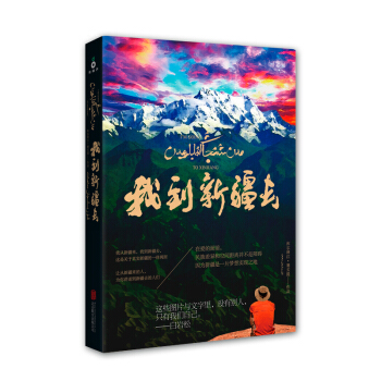 我到新疆去 pdf epub mobi 电子书 下载
