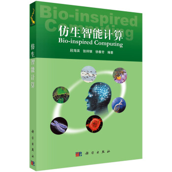 仿生智能計算 pdf epub mobi 電子書 下載