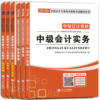 中級會計資格考試2018年教材+真題詳解與上機題庫 經濟法+財務管理+中級會計實務（套裝共6冊） pdf epub mobi 電子書 下載