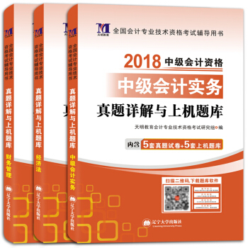 中級會計資格考試2018年教材配套真題詳解與上機題庫 經濟法+財務管理+中級會計實務（套裝共3冊） pdf epub mobi 電子書 下載