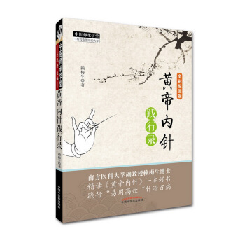 黄帝内针践行录 pdf epub mobi 电子书 下载