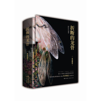 折断的龙骨（套装2册） pdf epub mobi 电子书 下载