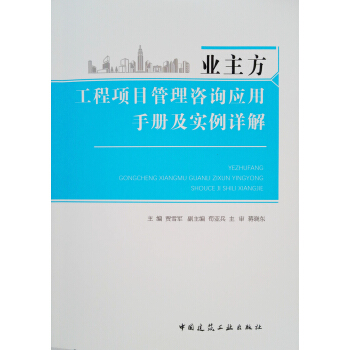 业主方工程项目管理咨询应用手册及实例详解 pdf epub mobi 电子书 下载
