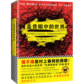 盖普眼中的世界 pdf epub mobi 电子书 下载