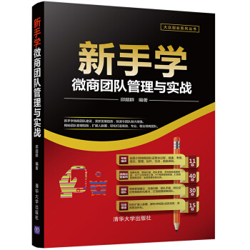 新手学微商团队管理与实战/大众创业系列丛书 pdf epub mobi 电子书 下载