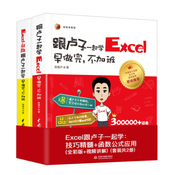 Excel跟盧子一起學:技巧精髓+函數公式應用(全彩版+視頻講解)(套裝共2冊)