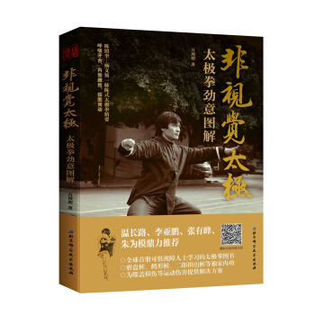 非视觉太极—太极拳劲意图解 pdf epub mobi 电子书 下载