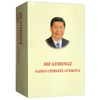 習近平談治國理政（壯文版） pdf epub mobi 電子書 下載