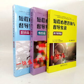 短程心理咨询与督导实录.亲子教育篇+职场篇+情感篇【共3册】张道龙等著心理咨询与治疗 pdf epub mobi 电子书 下载