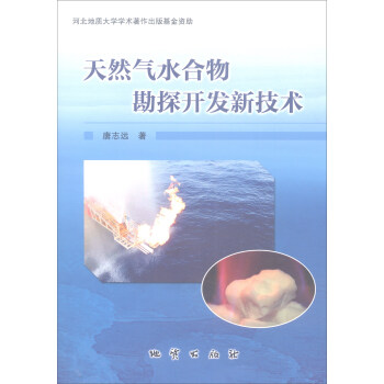 天然气水合物勘探开发新技术 pdf epub mobi 电子书 下载