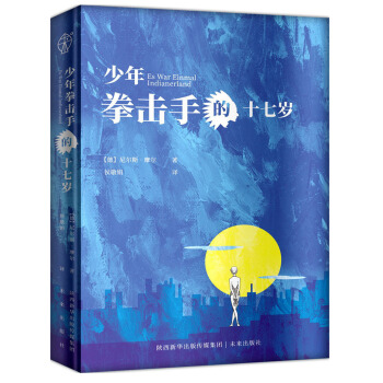 少年拳击手的十七岁 [Es war einmal indianerland] pdf epub mobi 电子书 下载