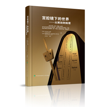 宮腔鏡下的世界-從解剖到病理 pdf epub mobi 電子書 下載